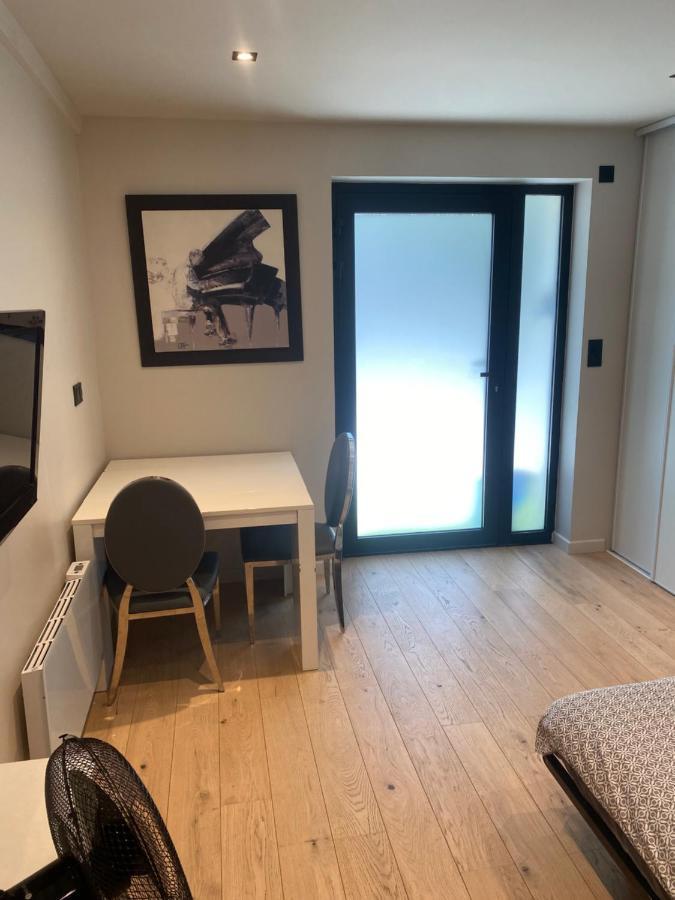 Studio Equipe En Rez De Jardin Villeurbanne Eksteriør billede